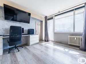 Prodej bytu 1+1, Mladá Boleslav, Jana Palacha, 43 m2