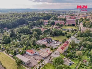 Prodej obchodního prostoru, Aš, Nádražní, 94 m2