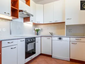 Pronájem bytu 2+1, Kladno, Vašíčkova, 54 m2