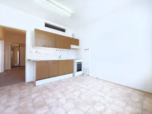 Prodej bytu 3+1, Milovice, Lesní, 112 m2