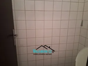Pronájem výrobních prostor, Kroměříž, 80 m2