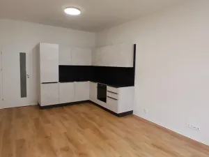 Pronájem bytu 3+kk, Brno - Veveří, Gorkého, 73 m2