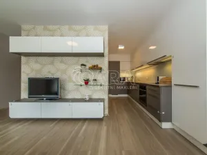 Pronájem bytu 3+kk, Hradec Králové - Nový Hradec Králové, Rybova, 74 m2