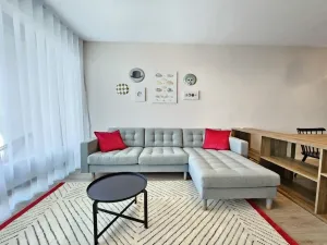 Pronájem bytu 2+kk, Plzeň - Jižní Předměstí, U Borského parku, 67 m2