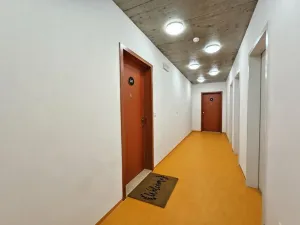 Pronájem bytu 2+kk, Plzeň - Jižní Předměstí, U Borského parku, 67 m2