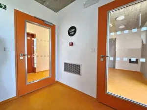 Pronájem bytu 2+kk, Plzeň - Jižní Předměstí, U Borského parku, 67 m2