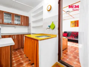Prodej chaty, Nymburk - Drahelice, 23 m2