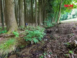 Prodej pozemku pro bydlení, Pec, 7130 m2
