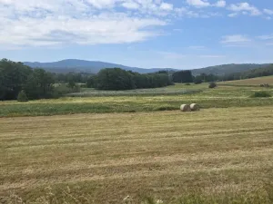 Prodej pozemku, Nová Pec, 11427 m2