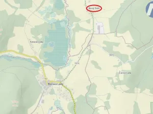 Prodej pozemku, Borová Lada, 259 m2