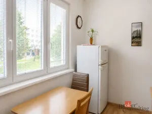 Prodej bytu 2+1, Bílina - Teplické Předměstí, M. Švabinského, 54 m2