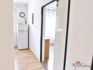 Prodej bytu 2+1, Bílina - Teplické Předměstí, M. Švabinského, 54 m2