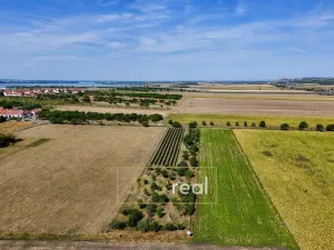 Prodej zahrady, Šakvice, 5111 m2