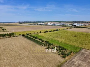 Prodej zahrady, Šakvice, 5111 m2