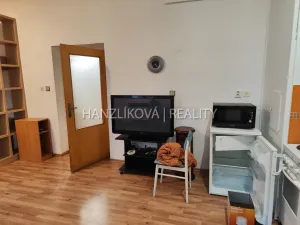 Pronájem bytu 1+kk, České Budějovice - České Budějovice 3, B. Smetany, 38 m2