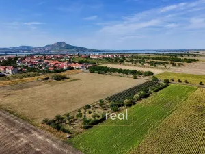 Prodej zahrady, Šakvice, 1690 m2