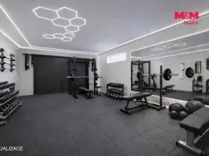 Prodej rodinného domu, Mukařov - Srbín, Na Budech, 160 m2