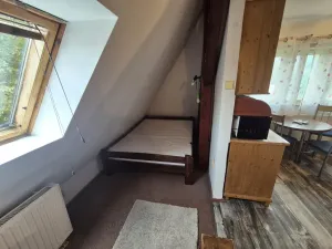 Pronájem bytu 1+1, Liberec - Liberec I-Staré Město, Gorkého, 30 m2