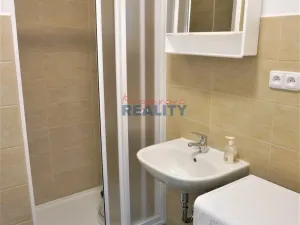 Pronájem bytu 1+kk, České Budějovice - České Budějovice 3, Pekárenská, 20 m2