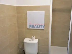 Pronájem bytu 1+kk, České Budějovice - České Budějovice 3, Pekárenská, 20 m2