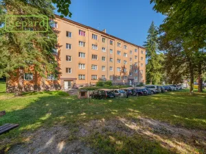 Pronájem bytu 2+1, Sokolov, Karla Čapka, 64 m2