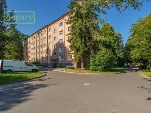 Pronájem bytu 2+1, Sokolov, Karla Čapka, 64 m2