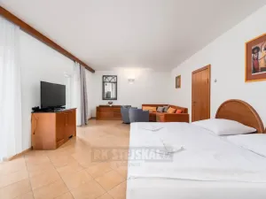 Prodej ubytování, Přední Výtoň, 900 m2