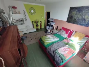 Prodej bytu 1+1, Domažlice, Mánesova, 40 m2