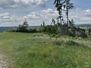 Prodej lesa, Chlum, 5098 m2