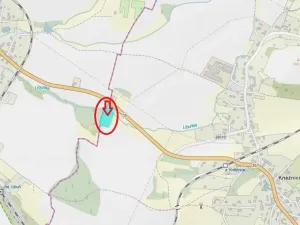 Prodej lesa, Kněžnice, 6851 m2