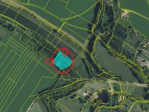 Prodej lesa, Kněžnice, 4780 m2