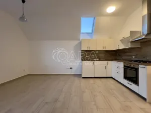 Pronájem bytu 1+kk, Čebín, 40 m2