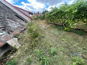 Prodej vinného sklepa, Zaječí, 95 m2