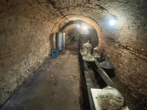 Prodej vinného sklepa, Zaječí, Hlavní, 95 m2