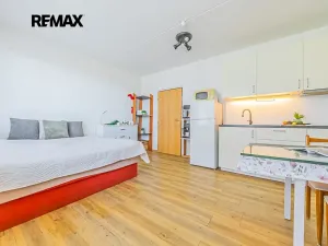 Prodej bytu 1+kk, Praha - Kamýk, Dobevská, 25 m2