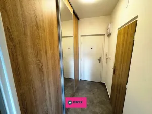 Prodej bytu 1+kk, Brno, Halasovo náměstí, 24 m2