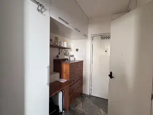Prodej bytu 1+kk, Brno, Halasovo náměstí, 23 m2