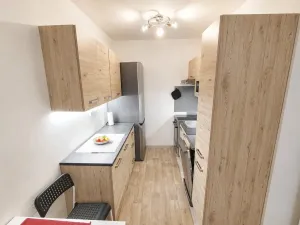 Prodej bytu 2+kk, Kralupy nad Vltavou, sídl. V Zátiší, 41 m2
