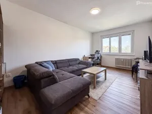 Prodej bytu 3+1, Hodonín, Družstevní čtvrť, 73 m2