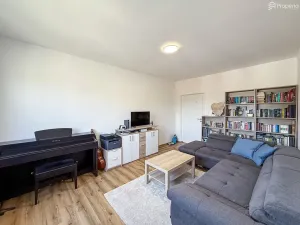 Prodej bytu 3+1, Hodonín, Družstevní čtvrť, 73 m2