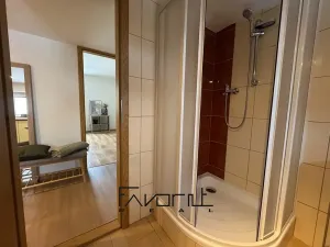 Pronájem bytu 1+1, Ostrava, Korunní, 53 m2