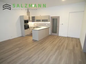 Pronájem bytu 3+kk, Plzeň, Rokycanská, 79 m2