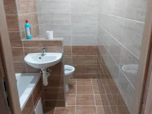Prodej bytu 1+1, Jirkov, Hornická, 36 m2