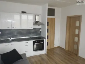 Prodej bytu 1+1, Jirkov, Hornická, 36 m2