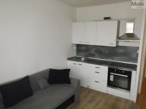Prodej bytu 1+1, Jirkov, Hornická, 36 m2