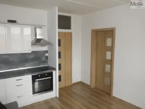 Prodej bytu 1+1, Jirkov, Hornická, 36 m2