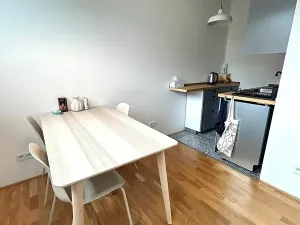 Pronájem bytu 2+kk, Praha - Vinohrady, Perucká, 37 m2
