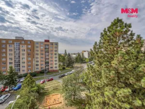 Prodej bytu 2+1, Plzeň - Severní Předměstí, Elišky Krásnohorské, 62 m2