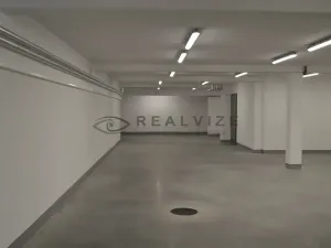 Prodej vícegeneračního domu, České Budějovice, J. Dobrovského, 830 m2