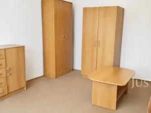 Prodej bytu 1+1, Bechyně, Písecká, 35 m2